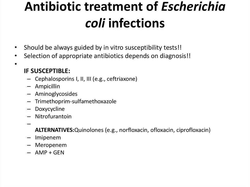 Which Agar Is Used For E Coli